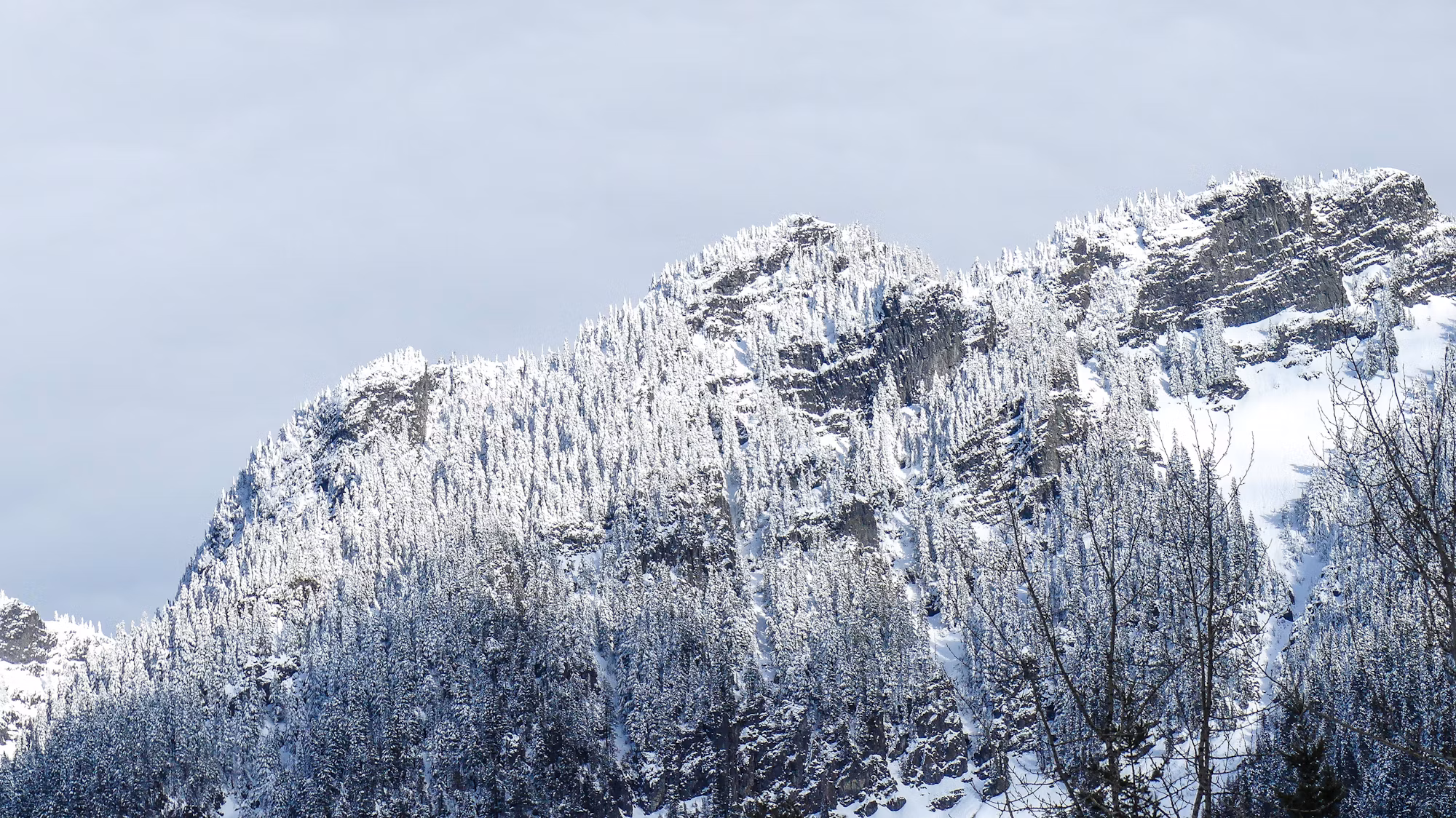 Exploring the World of Snowboarding Styles: A Comprehensive Overview